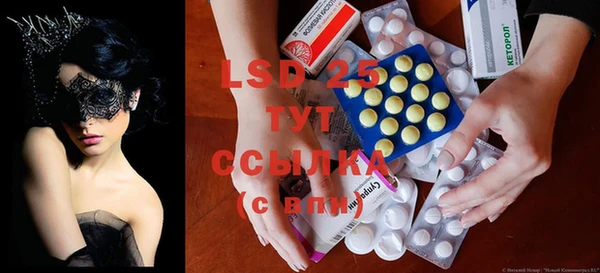 ПСИЛОЦИБИНОВЫЕ ГРИБЫ Беломорск
