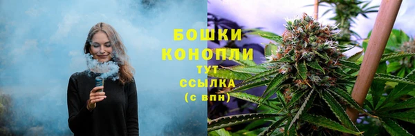 mix Белокуриха