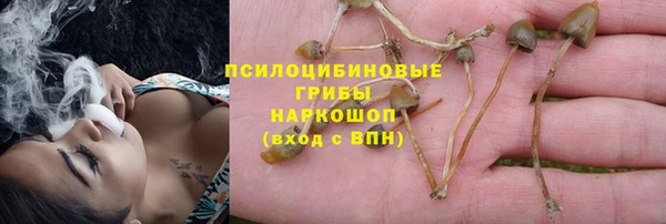 mix Белокуриха