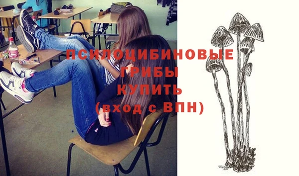 ПСИЛОЦИБИНОВЫЕ ГРИБЫ Беломорск