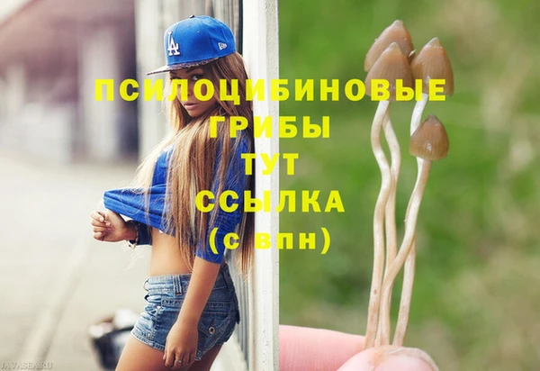 ПСИЛОЦИБИНОВЫЕ ГРИБЫ Беломорск