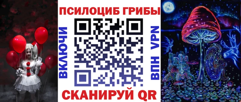 где купить наркоту  Жердевка  Псилоцибиновые грибы Magic Shrooms 